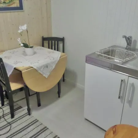 Apartman In With Kitchen Gravdal